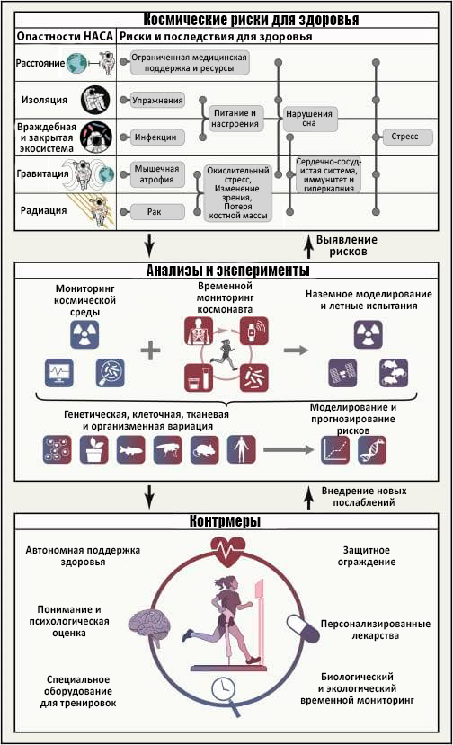 Рисунок 1. Космические риски для здоровья